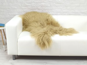 Luxury real Icelandic sheepskin rug G.250