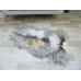 Grey Beige Icelandic Single Sheepskin Rug G650 Grey Beige Icelandic Single Sheepskin Rug G650