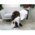 Brown White Icelandic Single Sheepskin Rug G651
