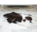 Brown White Icelandic Single Sheepskin Rug G651
