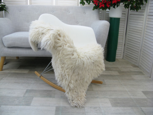Icelandic Curly Single Sheepskin Rug G654 Icelandic Curly Single Sheepskin Rug G654