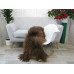 Icelandic Single Sheepskin Rug G657 Icelandic Single Sheepskin Rug G657