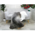Icelandic Single Sheepskin Rug G659 Icelandic Single Sheepskin Rug G659