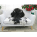 Icelandic Single Sheepskin Rug G661 Icelandic Single Sheepskin Rug G661