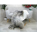 Icelandic Single Sheepskin Rug G662 Icelandic Single Sheepskin Rug G662