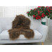 Icelandic Single Sheepskin Rug G665 Icelandic Single Sheepskin Rug G665