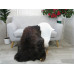 Icelandic Single Sheepskin Rug G666 Icelandic Single Sheepskin Rug G666