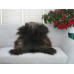 Icelandic Single Sheepskin Rug G669 Icelandic Single Sheepskin Rug G669