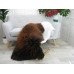 Icelandic Single Sheepskin Rug G671