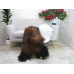 Icelandic Single Sheepskin Rug G672