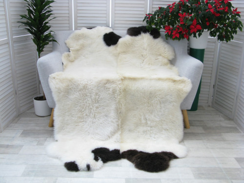 White Brown Quad Sheepskin Rug British Jacob Bed Throw Q82