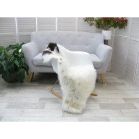 Genuine British Jacob Sheepskin Rug J245