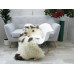 Genuine Jacob Sheepskin Rug J352
