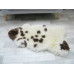Genuine Jacob Sheepskin Rug J352