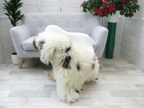 Genuine Jacob Sheepskin Rug J353