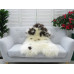 Genuine Jacob Sheepskin Rug J353