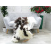 Genuine Jacob Sheepskin Rug J354