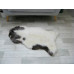 Genuine Jacob Sheepskin Rug J357