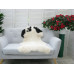 Genuine Jacob Sheepskin Rug J358