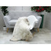 Genuine Jacob Sheepskin Rug J359