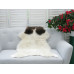 Genuine Jacob Sheepskin Rug J360
