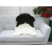 Genuine Jacob Sheepskin Rug J362