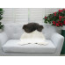 Genuine Jacob Sheepskin Rug J364