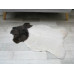 Genuine Jacob Sheepskin Rug J364