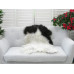 Genuine Jacob Sheepskin Rug J365