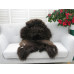 British Herdwick Sheepskin Rug J381