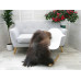 British Herdwick Sheepskin Rug J387