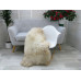 British Herdwick Sheepskin Rug J392