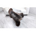 BROWN BRITISH HERDWICK SHEEPSKIN RUG J701 BROWN BRITISH HERDWICK SHEEPSKIN RUG J701