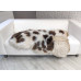 WHITE DARK BROWN JACOB SHEEPSKIN RUG J707 WHITE DARK BROWN JACOB SHEEPSKIN RUG J707