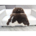 DARK BROWN WHITE JACOB SHEEPSKIN RUG J708