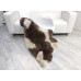 BROWN WHITE JACOB SHEEPSKIN RUG J709 BROWN WHITE JACOB SHEEPSKIN RUG J709