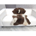 BROWN WHITE JACOB SHEEPSKIN RUG J709 BROWN WHITE JACOB SHEEPSKIN RUG J709