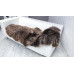 Real British Double Herdwick Sheepskin Rug D101
