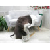 Genuine Jacob Sheepskin Rug J312