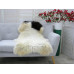 Genuine Jacob Sheepskin Rug J316