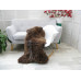 Genuine Herdwick Sheepskin Rug J340
