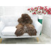 Genuine Herdwick Sheepskin Rug J340