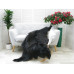 Genuine Greek Long Hair Goat Hide Go403
