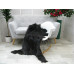 Genuine Greek Long Hair Goat Hide Go404