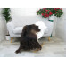 Genuine Greek Long Hair Goat Hide Go410
