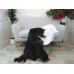 Genuine Greek Long Hair Goat Hide Go412