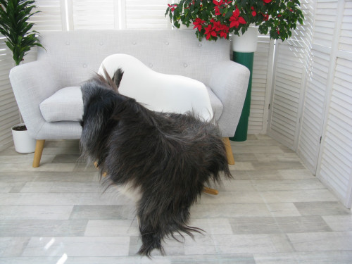 Genuine Greek Long Hair Goat Hide Go413