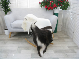 Genuine Greek Long Hair Goat Hide Go422