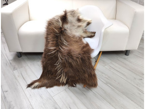 Genuine Greek Long Hair Goat Hide Go503 Genuine Greek Long Hair Goat Hide Go503